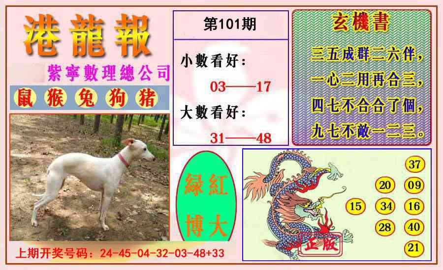 101期港龙报[图]